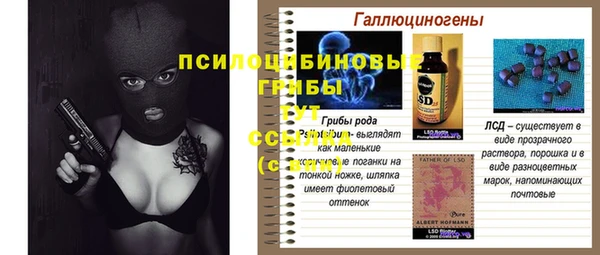 спиды Осташков