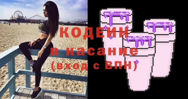 хмурый Осинники