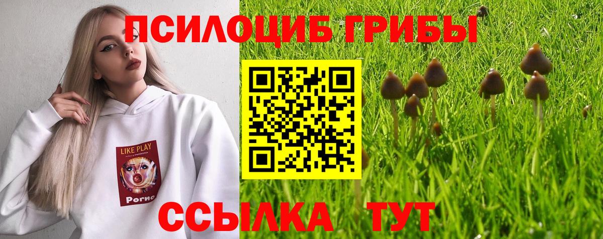 Галлюциногенные грибы Psilocybe  Джанкой 