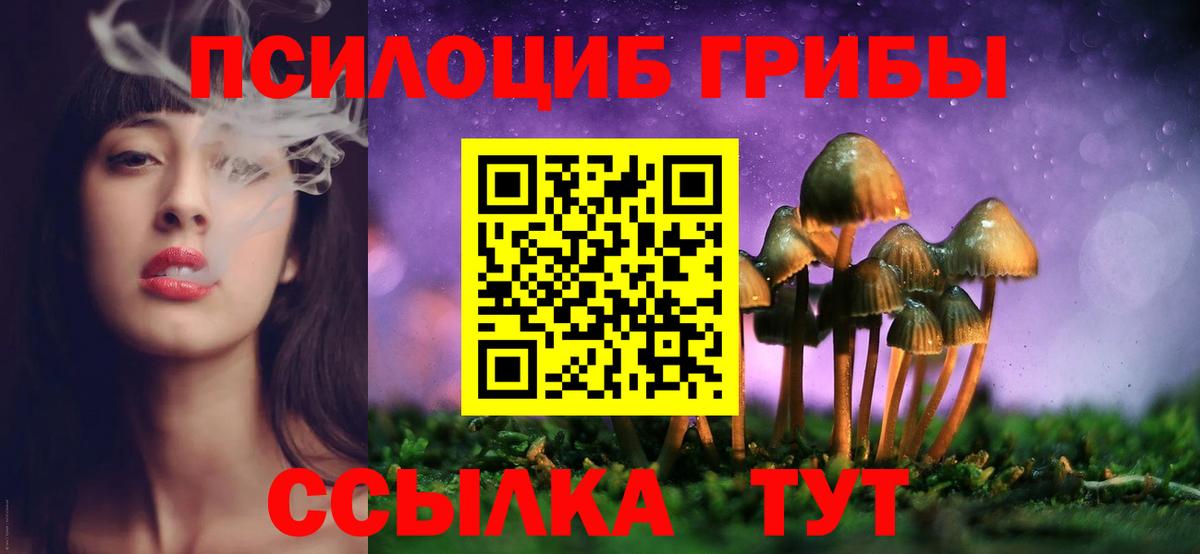 Галлюциногенные грибы Cubensis  Псилоцибиновые грибы Psilocybine cubensis  Джанкой  Вход с VPN 