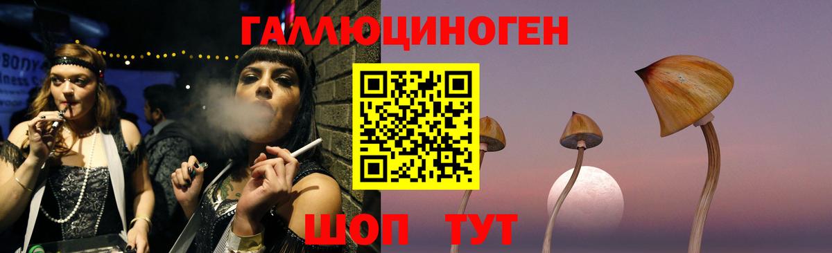 Галлюциногенные грибы Cubensis Джанкой